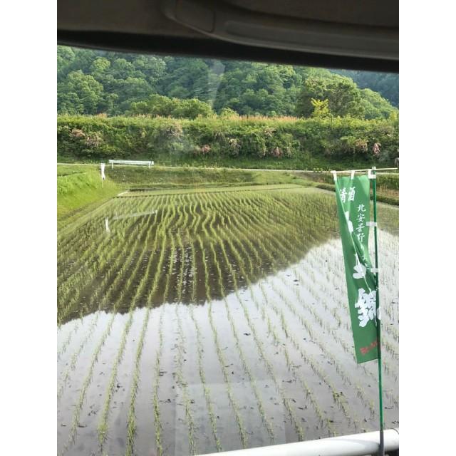 白馬錦　純米吟醸　白馬八方黒菱(火入れ)　720ml |  | 01