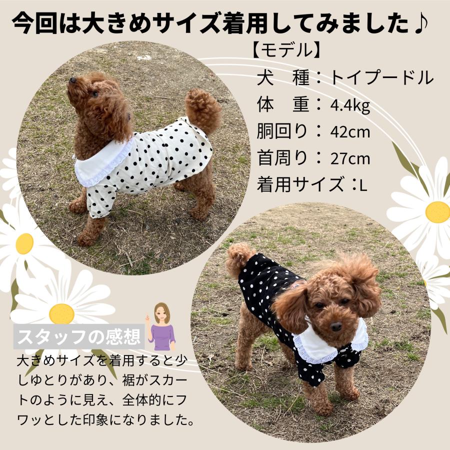 犬服 薄手 ドット 水玉 犬の服 長袖 上品 可愛い おしゃれ 小型犬