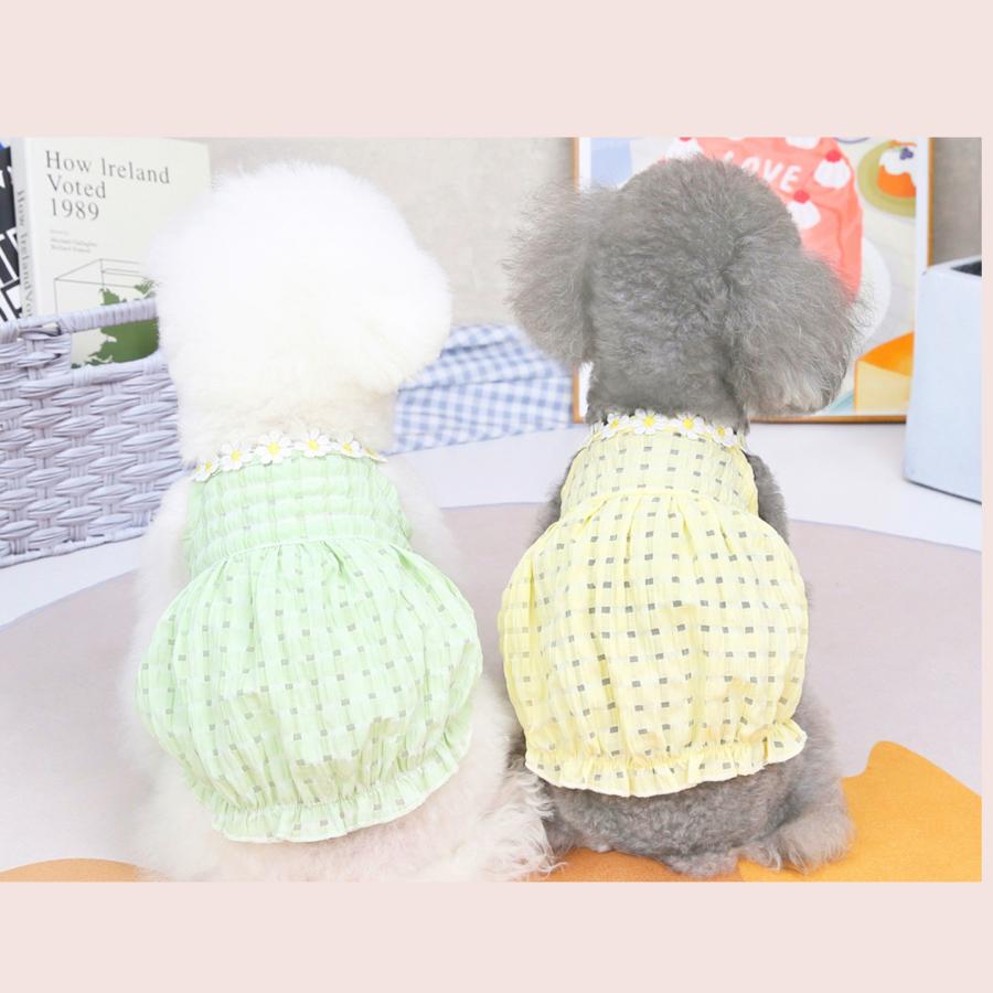 犬服‪☆ハンドメイド‪☆キャミ バルーン✩.*˚ 犬猫 ハロウィンキャミバルーン エプロンイニシャル かわいい