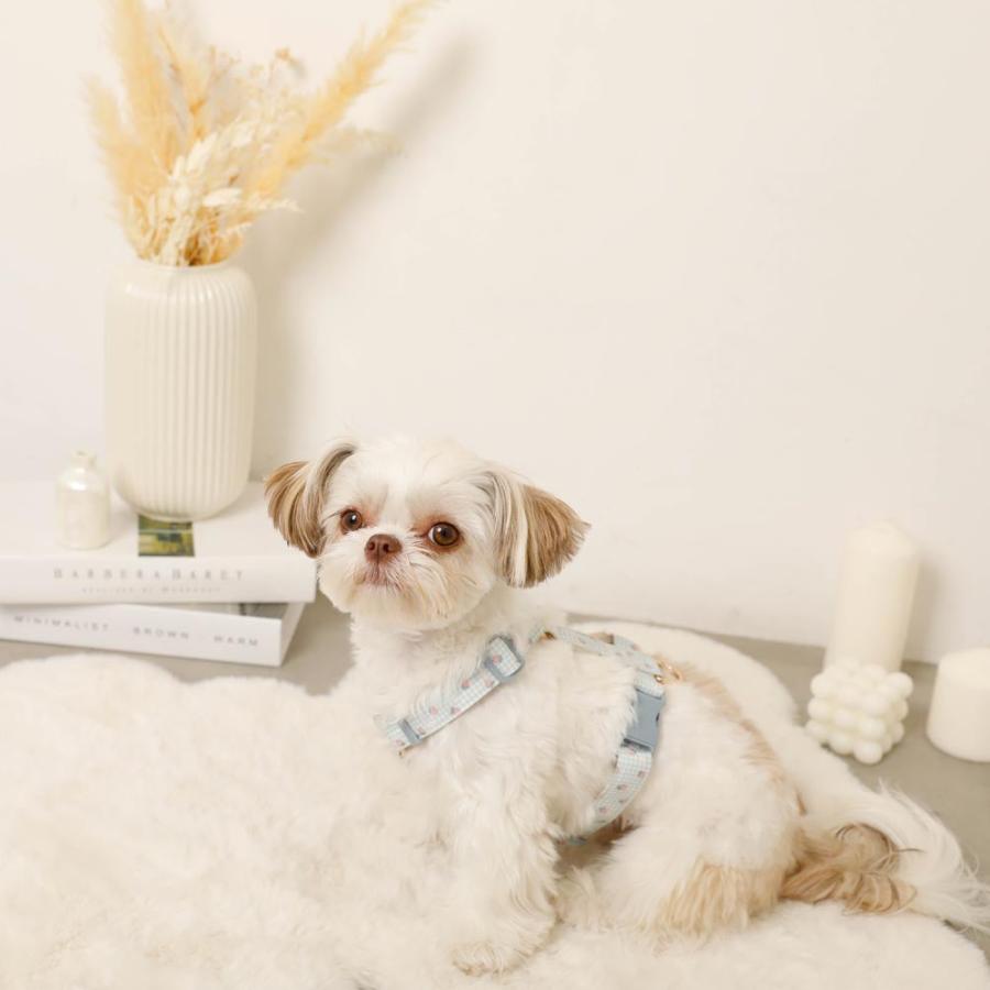 moncheri（モンシェリ） 犬 ハーネス リード かわいい おしゃれ 小型犬