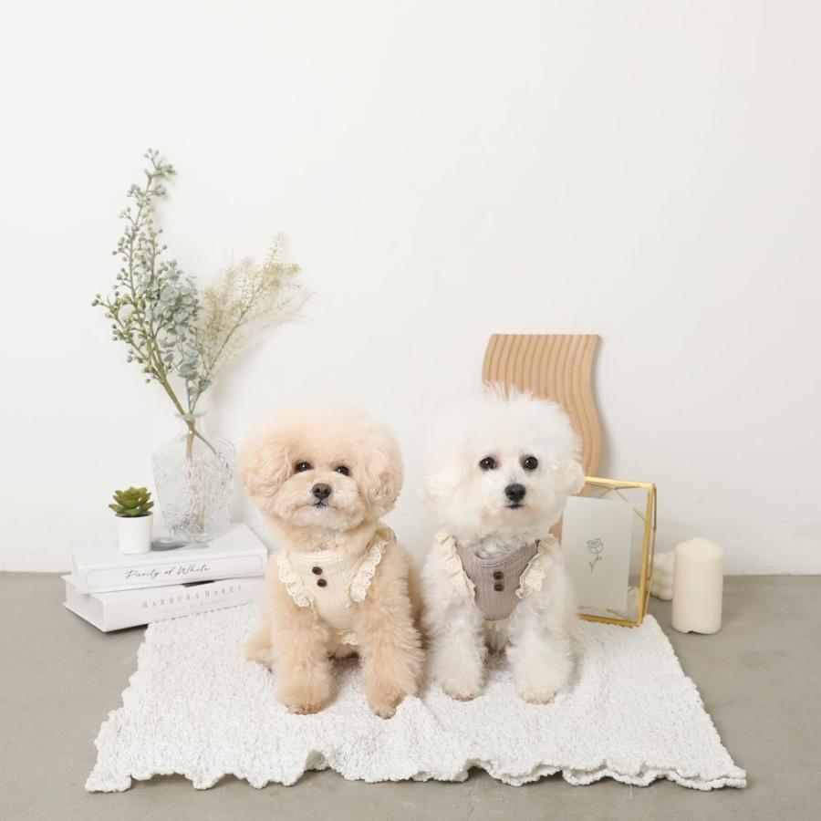 moncheri（モンシェリ） 犬 ハーネス かわいい おしゃれ 人気 ブランド