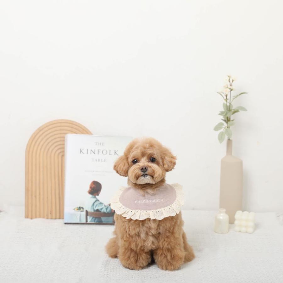 moncheri（モンシェリ） 犬 スタイ 付け襟 よだれかけ 犬用スタイ