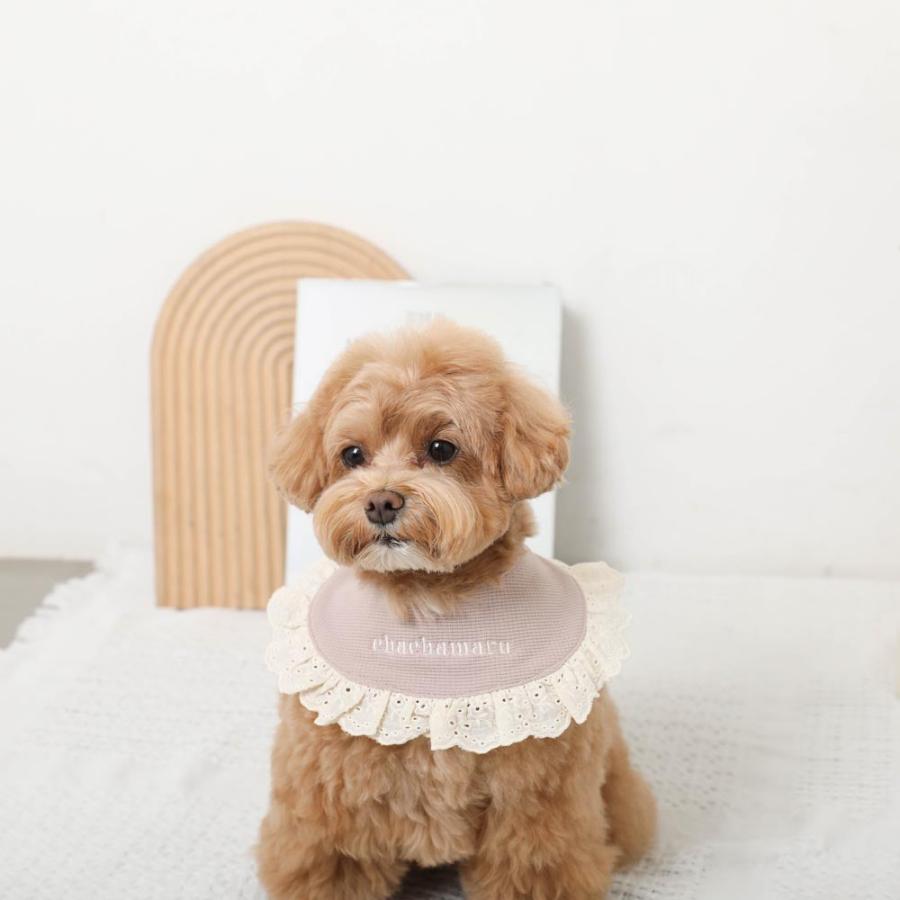 moncheri（モンシェリ） 犬 スタイ 付け襟 よだれかけ 犬用スタイ