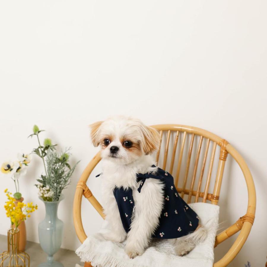 moncheri（モンシェリ） 犬 服 ドッグウェア ワンピース かわいい