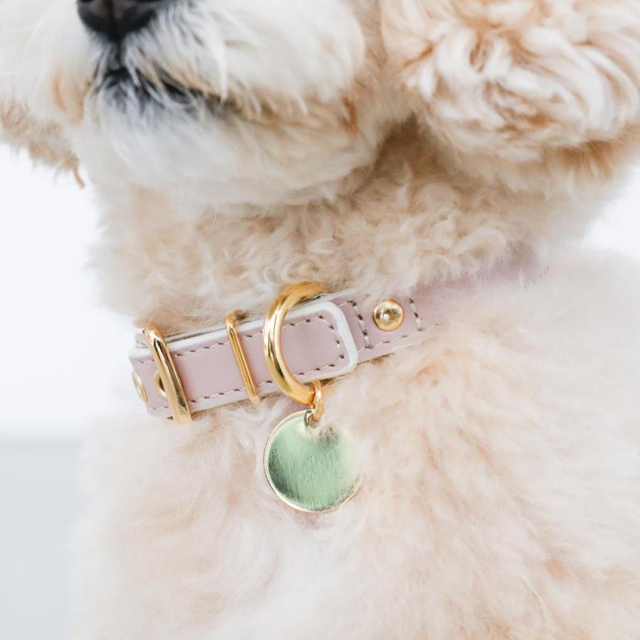 moncheri（モンシェリ） 日本製 本革 レザー 犬 首輪 カラー かわいい