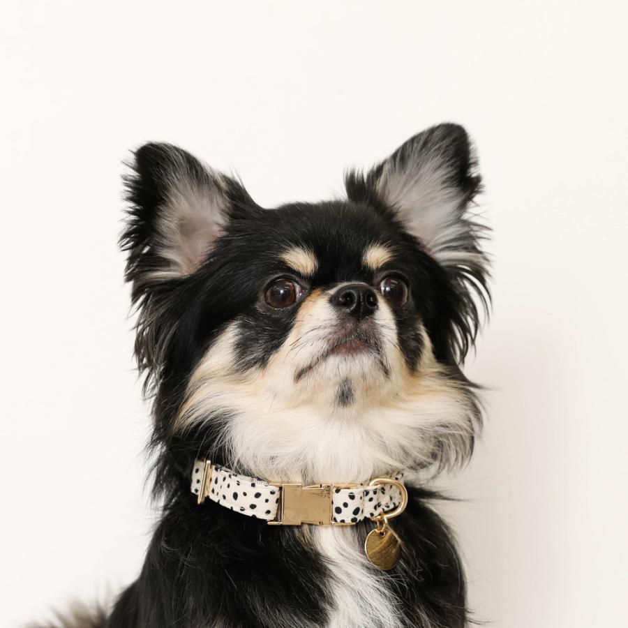 新品未使用 moncheri 首輪＆ショルダーリードセット moncheri（モンシェリ） 犬 首輪 カラー ペット用 かわいい おしゃれ