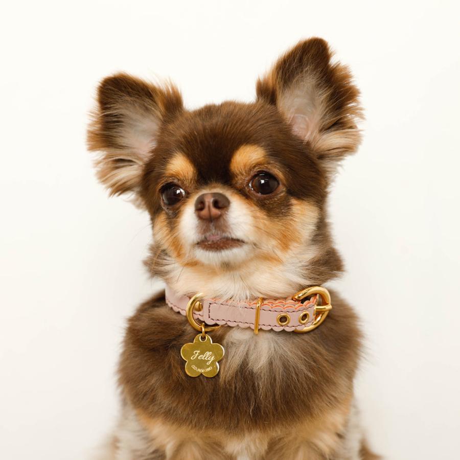 moncheri（モンシェリ） 犬 首輪 カラー ペット用 かわいい おしゃれ