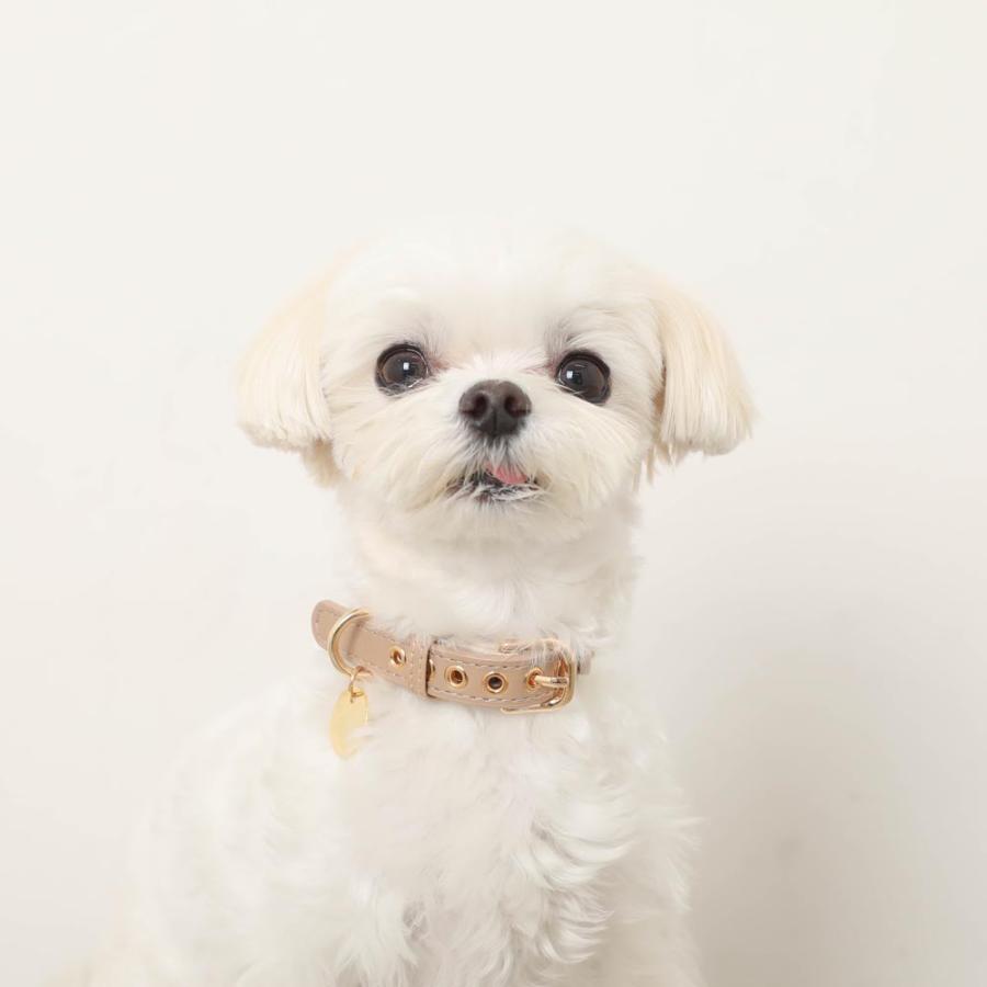 【新品タグ付き】monchéri ベージュ なみなみ 首輪 BEIGE / M moncheri（モンシェリ） 犬 首輪 かわいい おしゃれ 人気 ブランド
