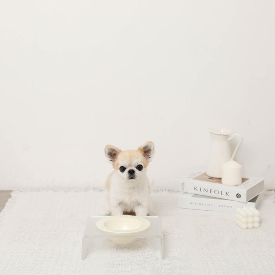 moncheri（モンシェリ） 犬 フードボウル・食器 食器 かわいい