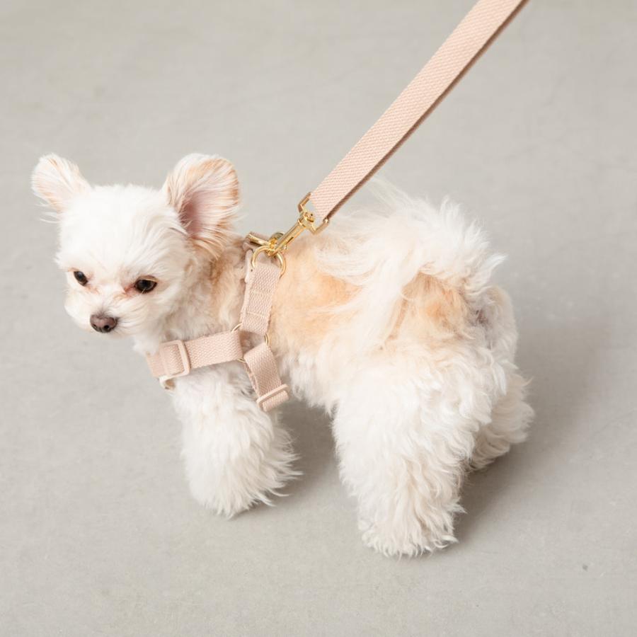 moncheri（モンシェリ） 犬 ハーネス リード かわいい おしゃれ 小型犬