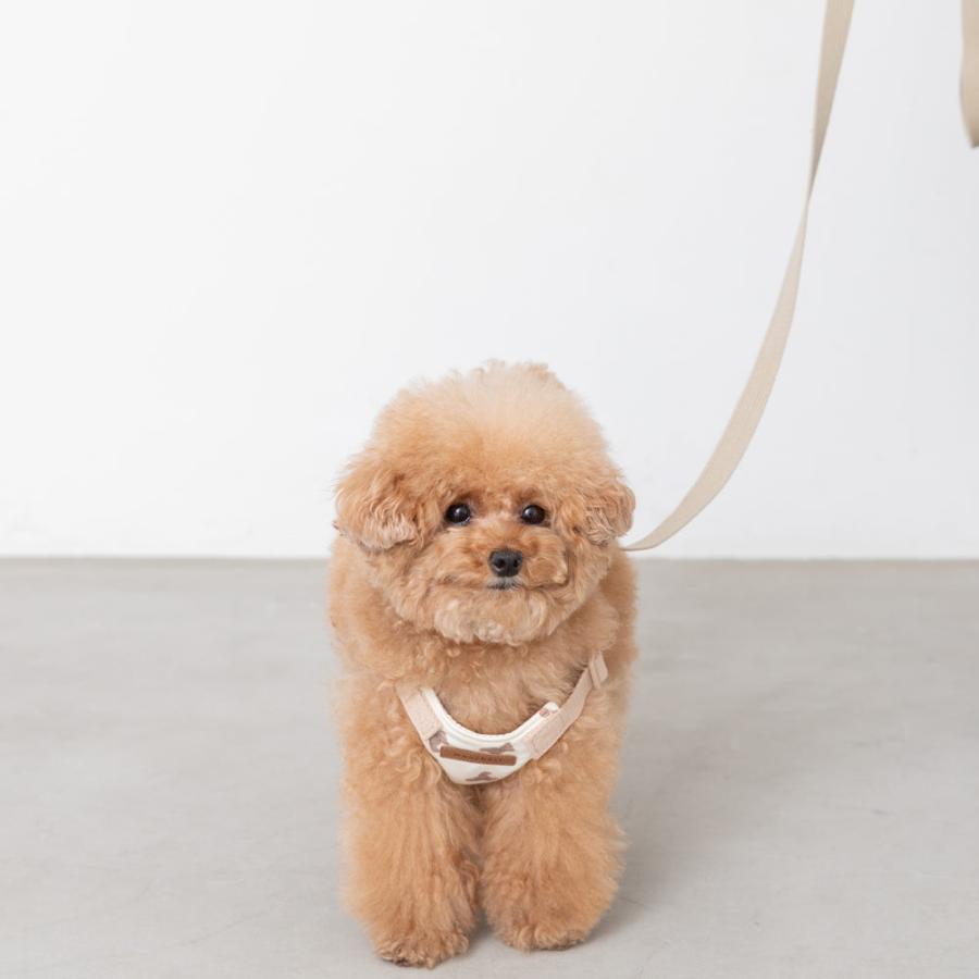 moncheri（モンシェリ） 犬 ハーネス リード かわいい おしゃれ 小型犬