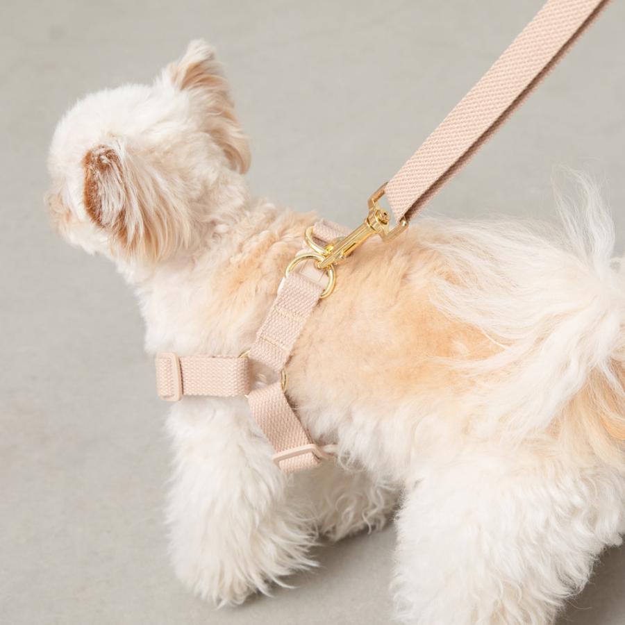 moncheri（モンシェリ） 犬 ハーネス リード かわいい おしゃれ 小型犬