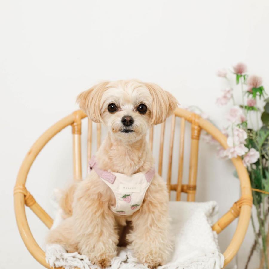 moncheri（モンシェリ） ハーネス 犬 犬用 かわいい 抜けない 脱げない