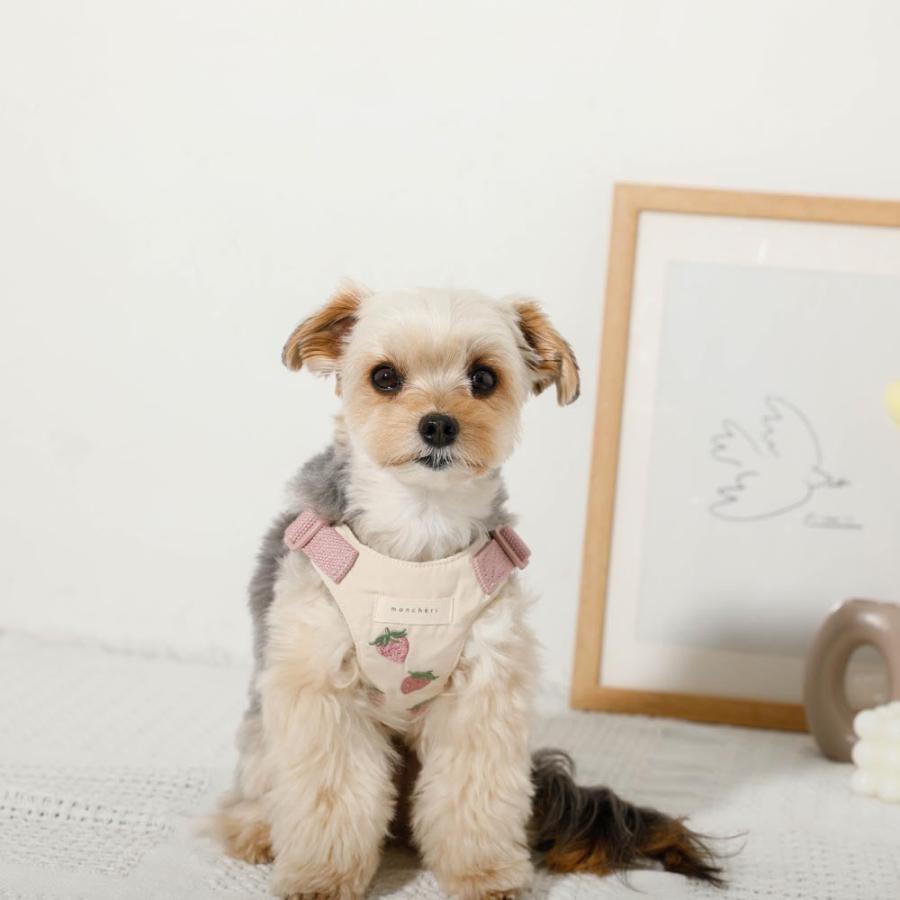 モンシェリーmon chéri胴輪Mサイズ・未使用新品ハーネス120㎝苺柄・犬用 moncheri（モンシェリ） ハーネス 犬 犬用 かわいい 抜けない 脱げない