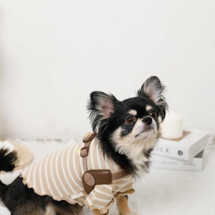 moncheri（モンシェリ） 犬 ハーネス リード かわいい おしゃれ 小型犬