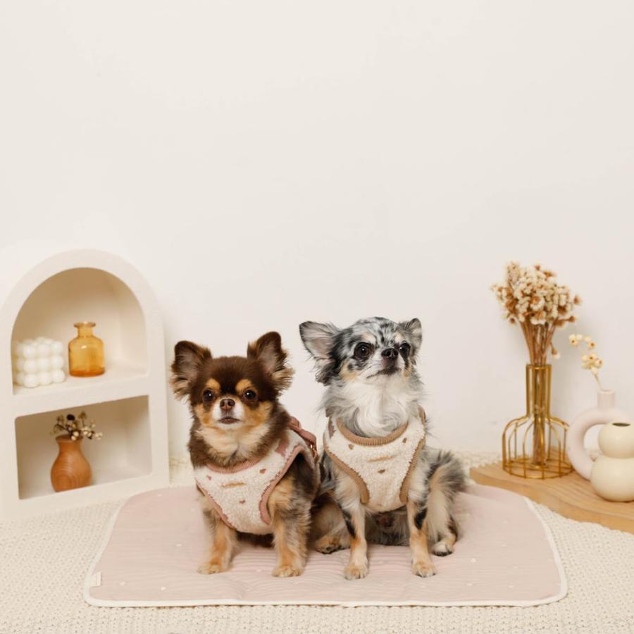 moncheri（モンシェリ） 犬 ハーネス リード かわいい おしゃれ 小型犬