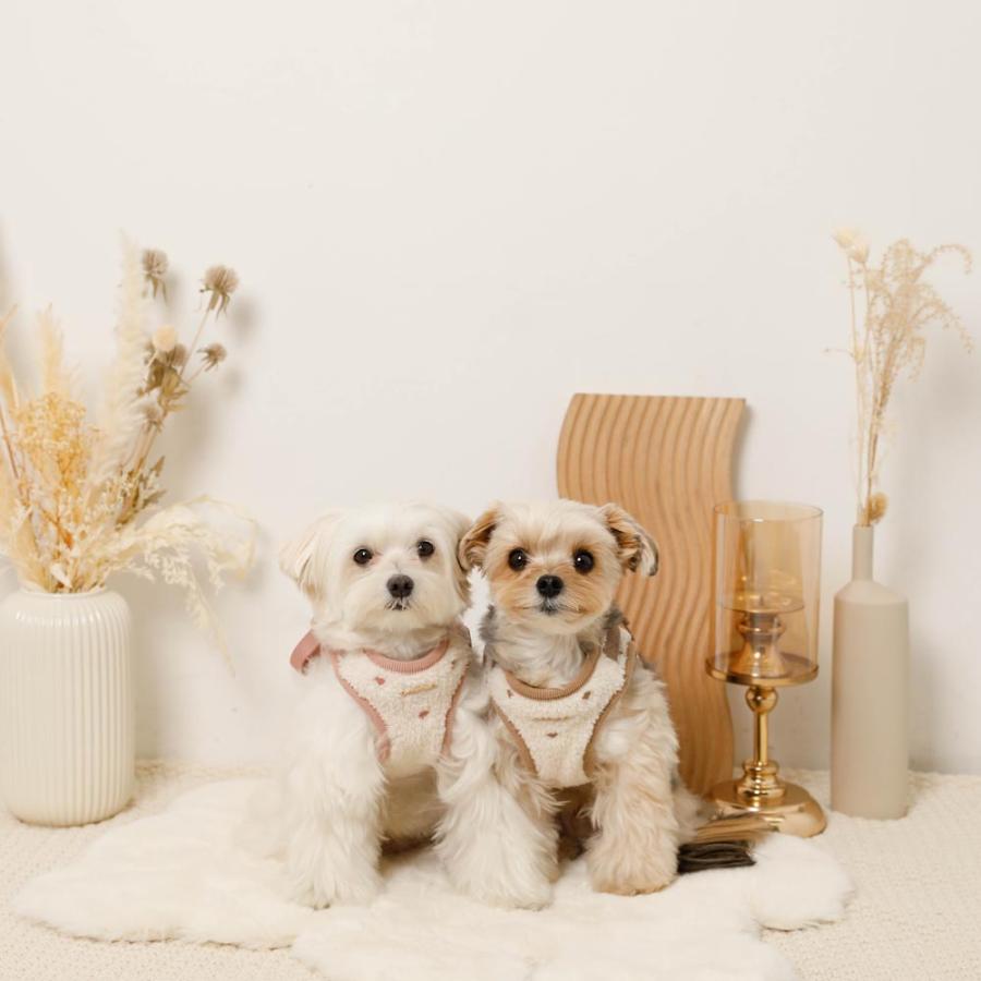 moncheri（モンシェリ） 犬 ハーネス リード かわいい おしゃれ 小型犬