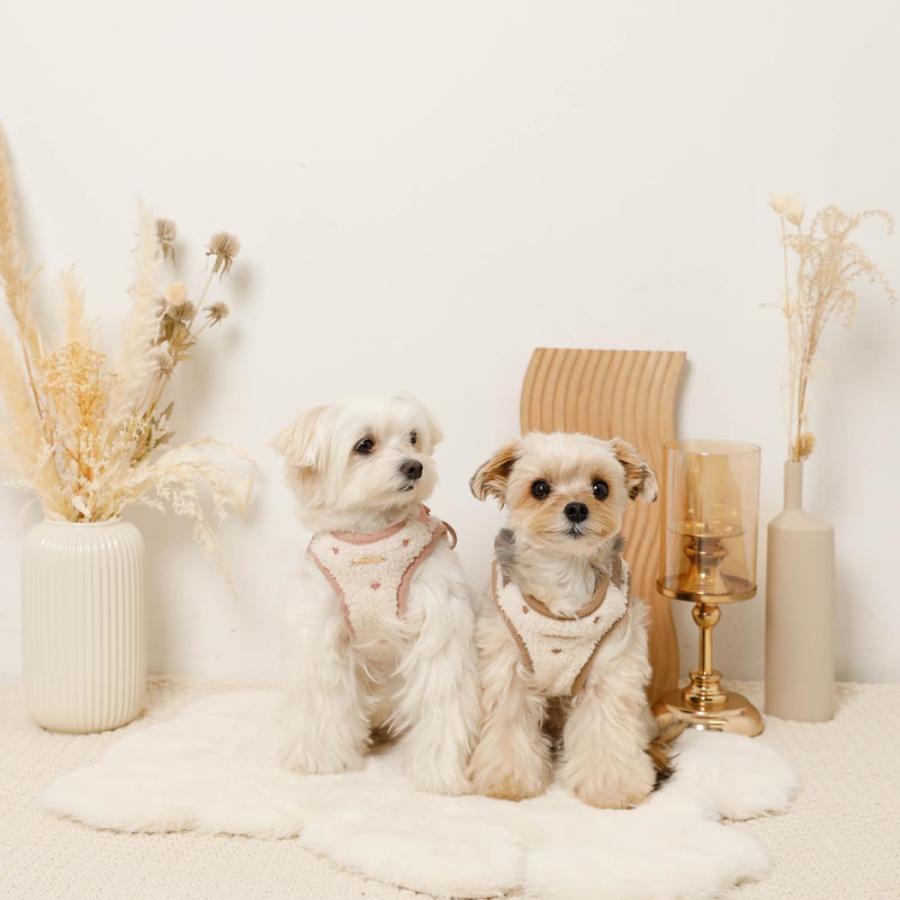 moncheri（モンシェリ） 犬 ハーネス リード かわいい おしゃれ 小型犬