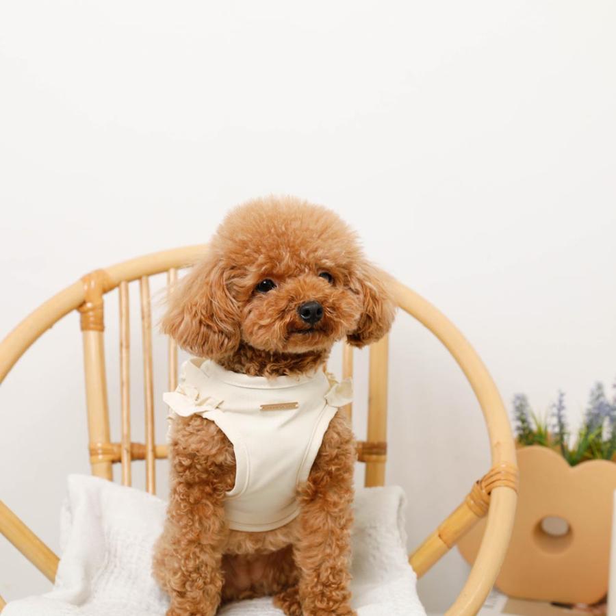 moncheri（モンシェリ） 犬 ハーネス リード かわいい おしゃれ 小型犬