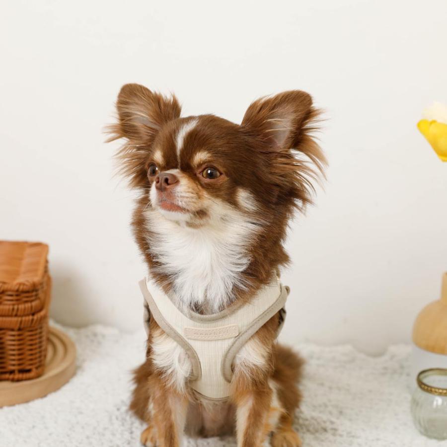 moncheri（モンシェリ） 犬 ハーネス リード かわいい おしゃれ 小型犬