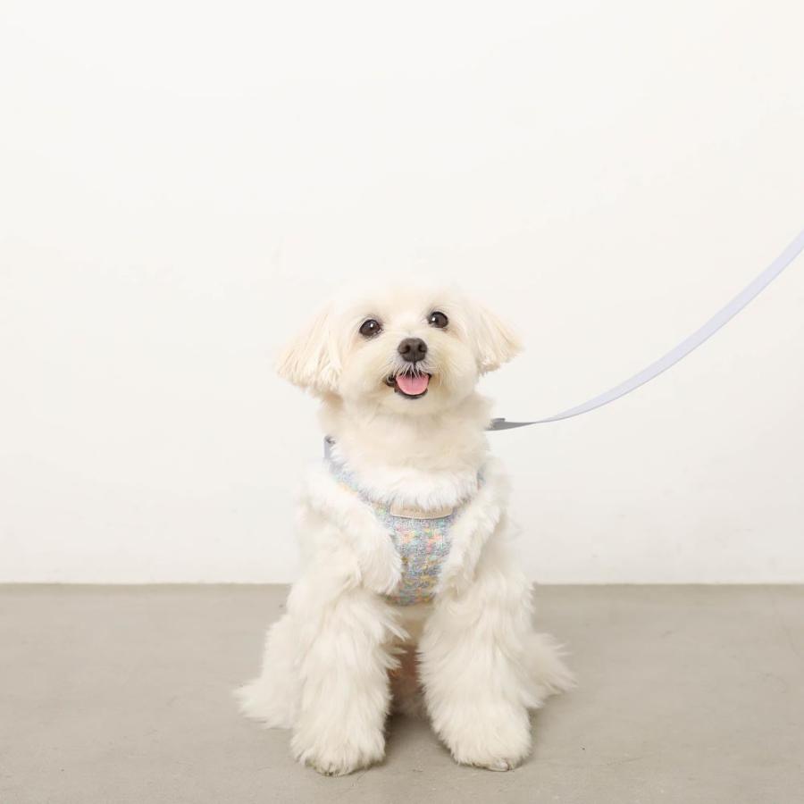 moncheri（モンシェリ） 犬 ハーネス かわいい おしゃれ 人気 ブランド