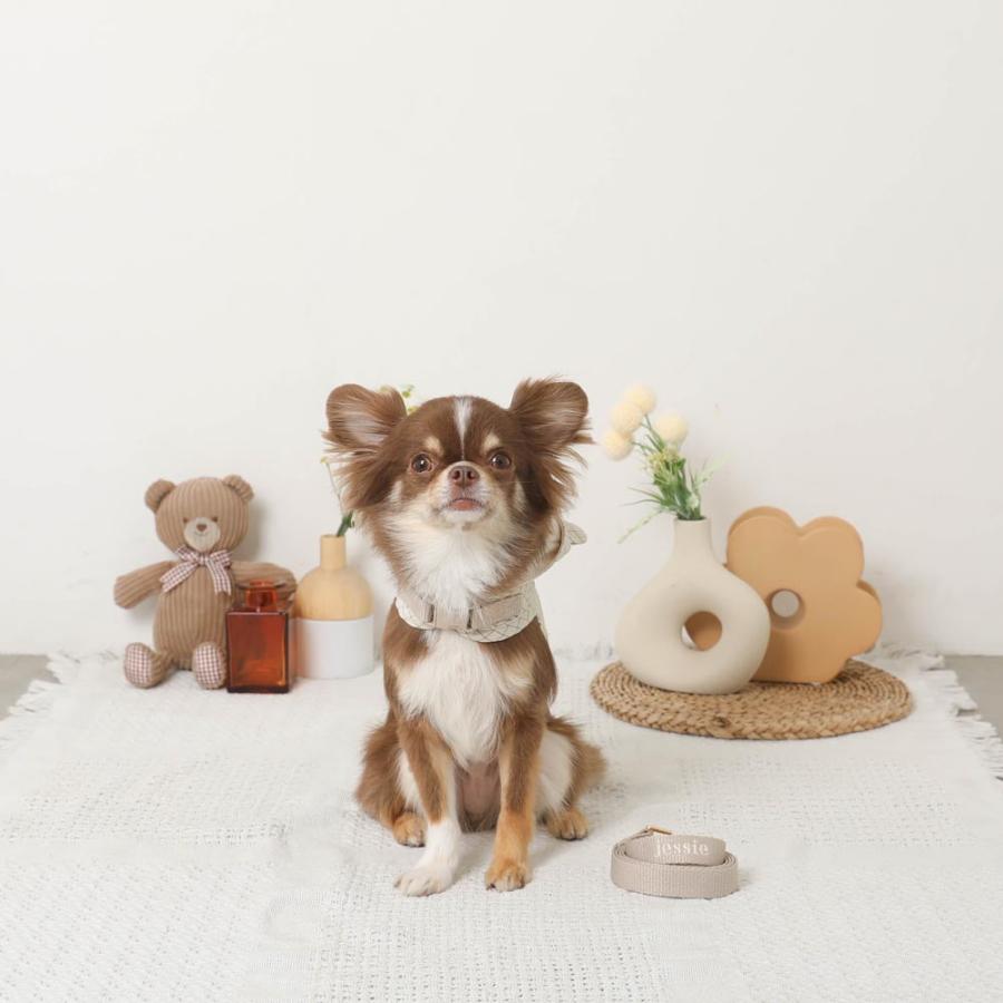 moncheri モンシェリ 犬 ハーネス かわいい おしゃれ 人気 ブランド トイプードル チワワ 小型犬 中型犬の画像
