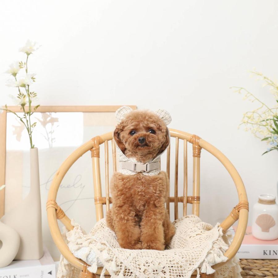 moncheri モンシェリ 犬 ハーネス かわいい おしゃれ 人気 ブランド トイプードル チワワ 小型犬 中型犬の画像