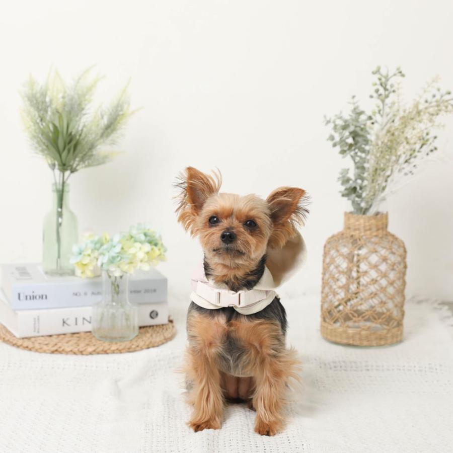moncheri モンシェリ 犬 ハーネス かわいい おしゃれ 人気 ブランド トイプードル チワワ 小型犬 中型犬 春 夏 春夏 保冷剤 保冷剤ポケット 冷感 防虫の画像