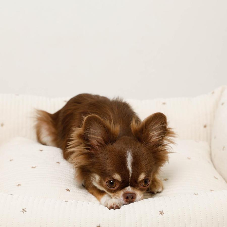 犬 クッション ペットベッド ソファ クッションベッド かわいい おしゃれ 小型犬 中型犬 洗濯可能 洗える 撥水 moncheri モンシェリの画像