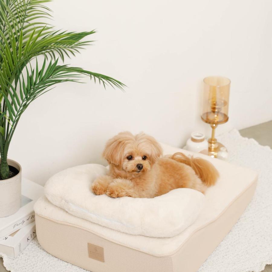 moncheri（モンシェリ） 犬 クッション ペットベッド ソファ