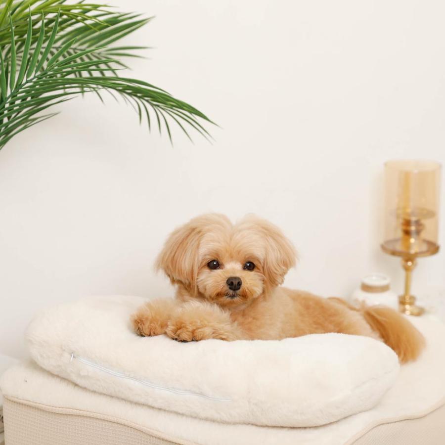 moncheri（モンシェリ） 犬 クッション ペットベッド ソファ