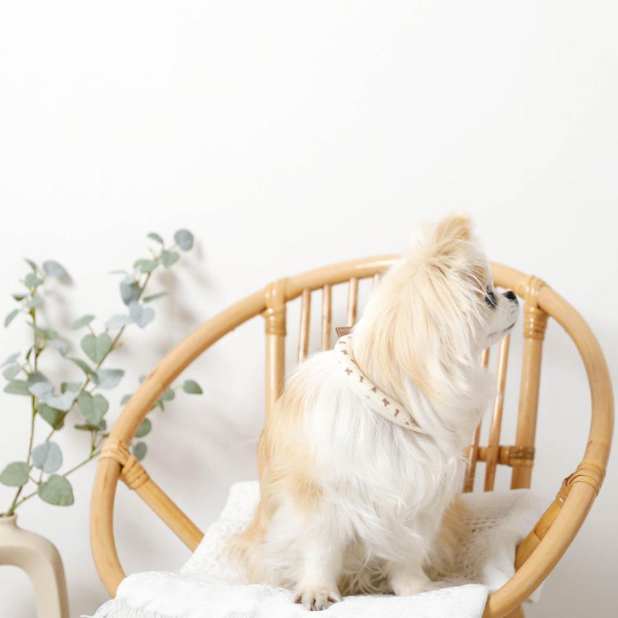 moncheri 犬 ネッククーラー 夏 ひんやり 熱中症対策 ネック