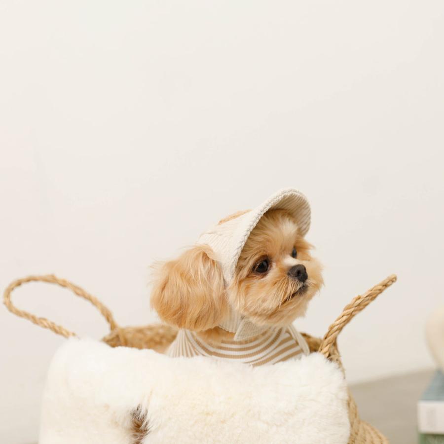 moncheri（モンシェリ） 犬 帽子 キャップ かわいい おしゃれ 小型犬