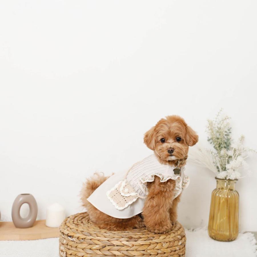 犬 ポシェット ミニポシェット ペットポシェット バッグ お散歩