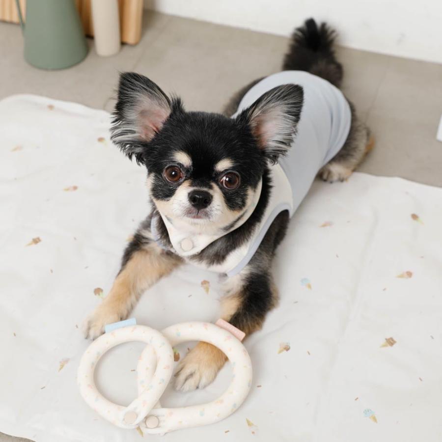 moncheri 犬 ネッククーラー 夏 ひんやり 熱中症対策 ネック