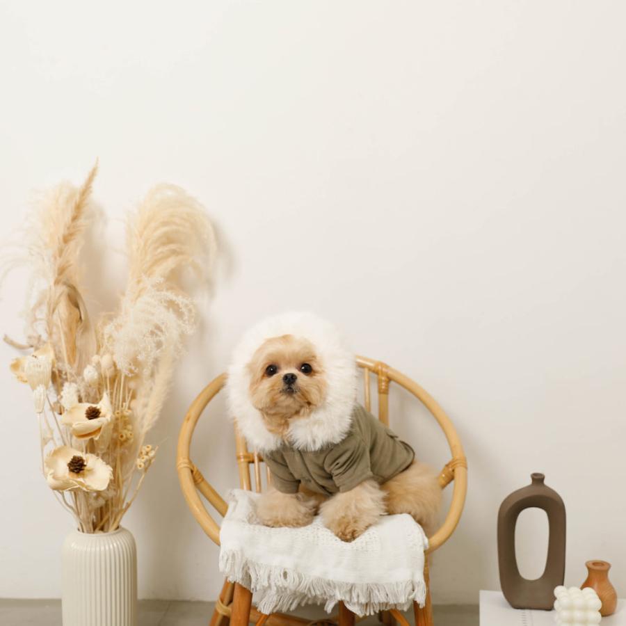 moncheri（モンシェリ） 犬 服 ドッグウェア ジャケット かわいい