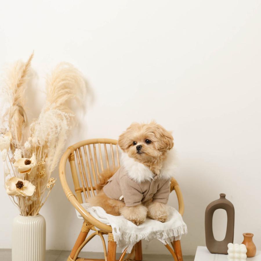 moncheri（モンシェリ） 犬 服 ドッグウェア ジャケット かわいい