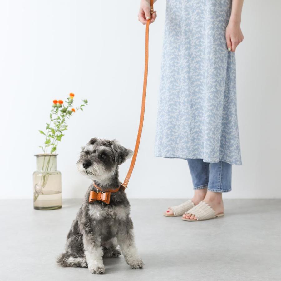 犬 リード かわいい おしゃれ 小型犬 中型犬 犬 長い 子犬 飛び出し防止 散歩 moncheri モンシェリの画像