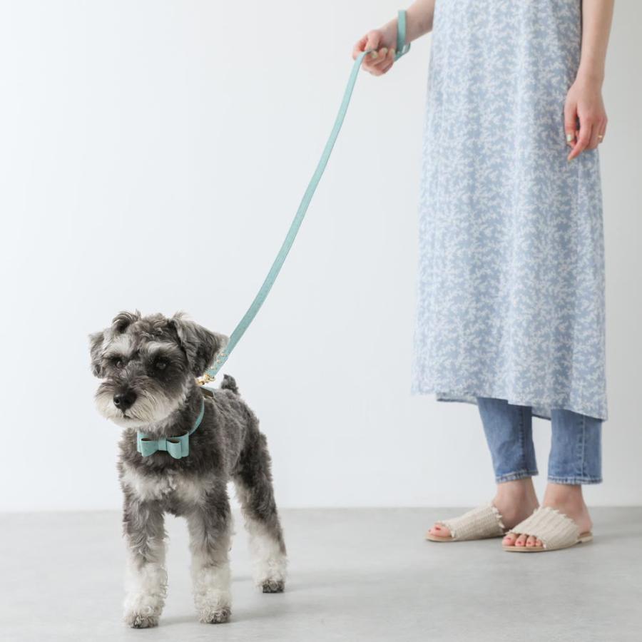 犬 リード かわいい おしゃれ 小型犬 中型犬 犬 長い 子犬 飛び出し防止 散歩 moncheri モンシェリの画像