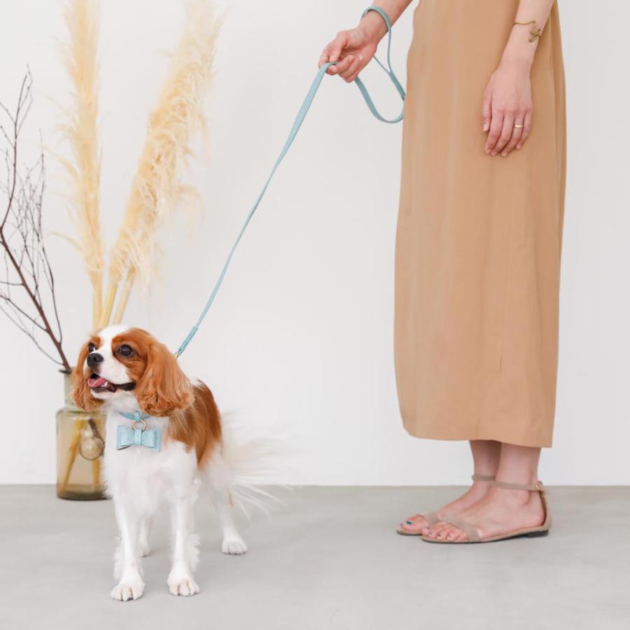 犬 リード かわいい おしゃれ 小型犬 中型犬 犬 長い 子犬 飛び出し防止 散歩 moncheri モンシェリの画像