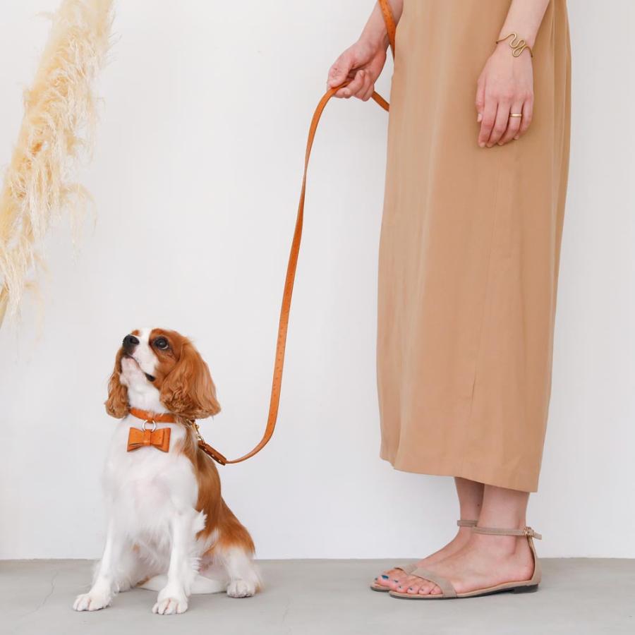 犬 リード かわいい おしゃれ 小型犬 中型犬 犬 長い 子犬 飛び出し防止 散歩 moncheri モンシェリの画像