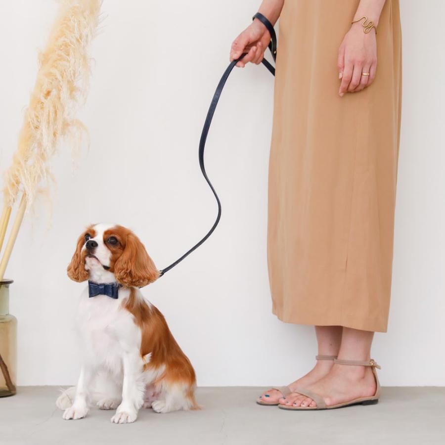 犬 リード かわいい おしゃれ 小型犬 中型犬 犬 長い 子犬 飛び出し防止 散歩 moncheri モンシェリの画像