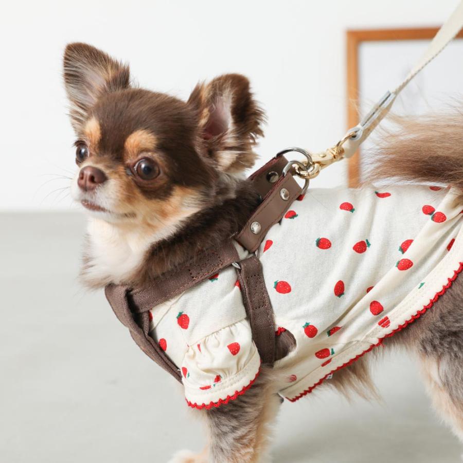 moncheri（モンシェリ） 犬 ハーネス リード かわいい おしゃれ 小型犬
