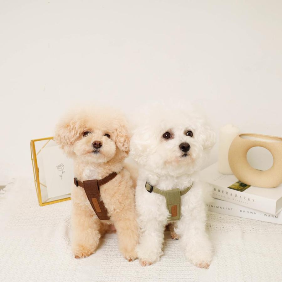 monchéri モンシェリ 犬 ハーネス 小中型犬 (M/ブルー) moncheri（モンシェリ） 犬 ハーネス リード かわいい おしゃれ 小型犬