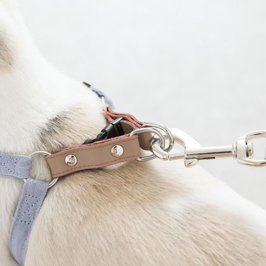 moncheri（モンシェリ） 犬 ハーネス リード かわいい おしゃれ 小型犬
