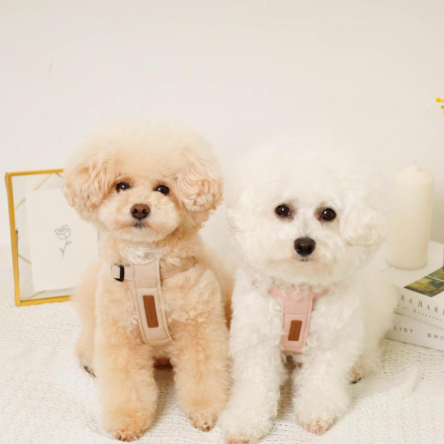 moncheri（モンシェリ） 犬 ハーネス リード かわいい おしゃれ 小型犬