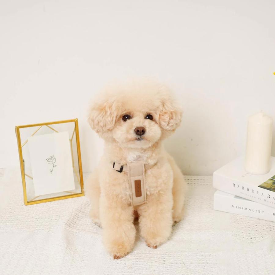 moncheri（モンシェリ） 犬 ハーネス かわいい おしゃれ 小型犬 中型犬