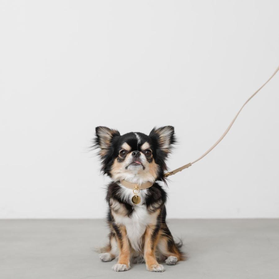 moncheri（モンシェリ） 犬 リード かわいい おしゃれ 小型犬 中型犬