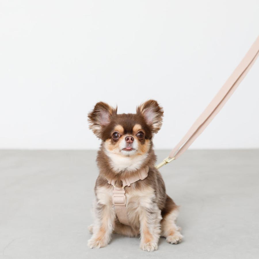 moncheri（モンシェリ） 犬 リード ショルダー たすき掛け 2way ハンズ