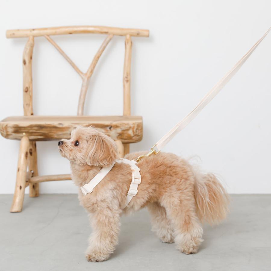 moncheri（モンシェリ） 犬 リード ショルダー たすき掛け 2way ハンズ